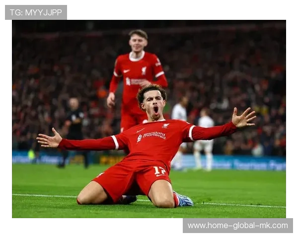 西汉姆中路突破一脚劲射直挂死角，惊艳全场观众！